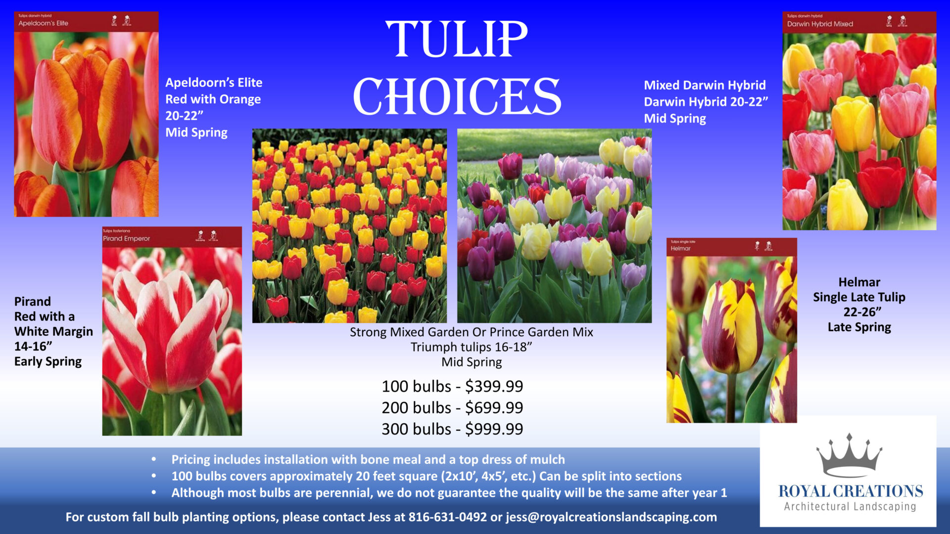 A list of different tulip colors to order from