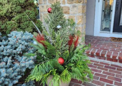 seasonal flower winter pots in blue springs mo