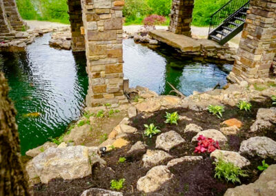 Luscious Landscape Renovation