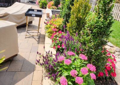 A patio with beige furniture covers, surrounded by lush greenery and vibrant flowers in pink and purple. Tall shrubs line the paved area, and theres a wooden fence in the background under a clear sky.