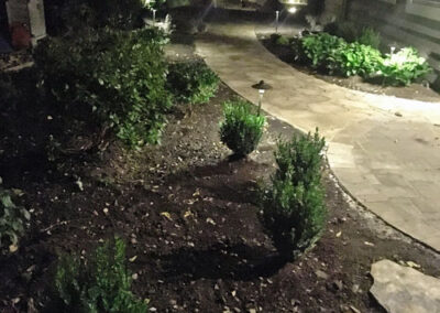 A well-lit garden path curves through a landscaped area with small shrubs and plants on both sides. Stone tiles form the pathway, and low garden lights illuminate the scene at night.