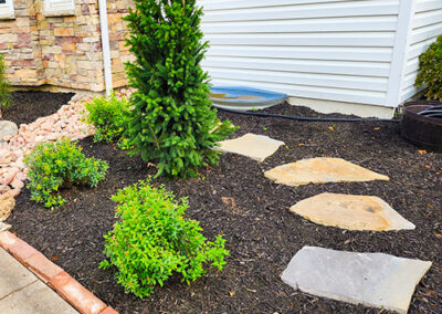 Landscape enhancement features a small evergreen tree, various green shrubs, and stepping stones set in dark mulch. The garden is bordered by a brick edging and abuts a white-sided house and a stone wall.