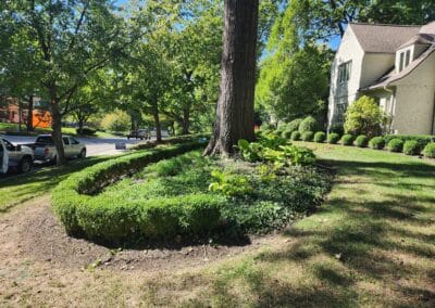 A tree is surrounded by a landscaped garden with neatly trimmed hedges and greenery under dappled sunlight. A house with a sloped roof and manicured bushes sits on the right, while a road lined with trees curves to the left.