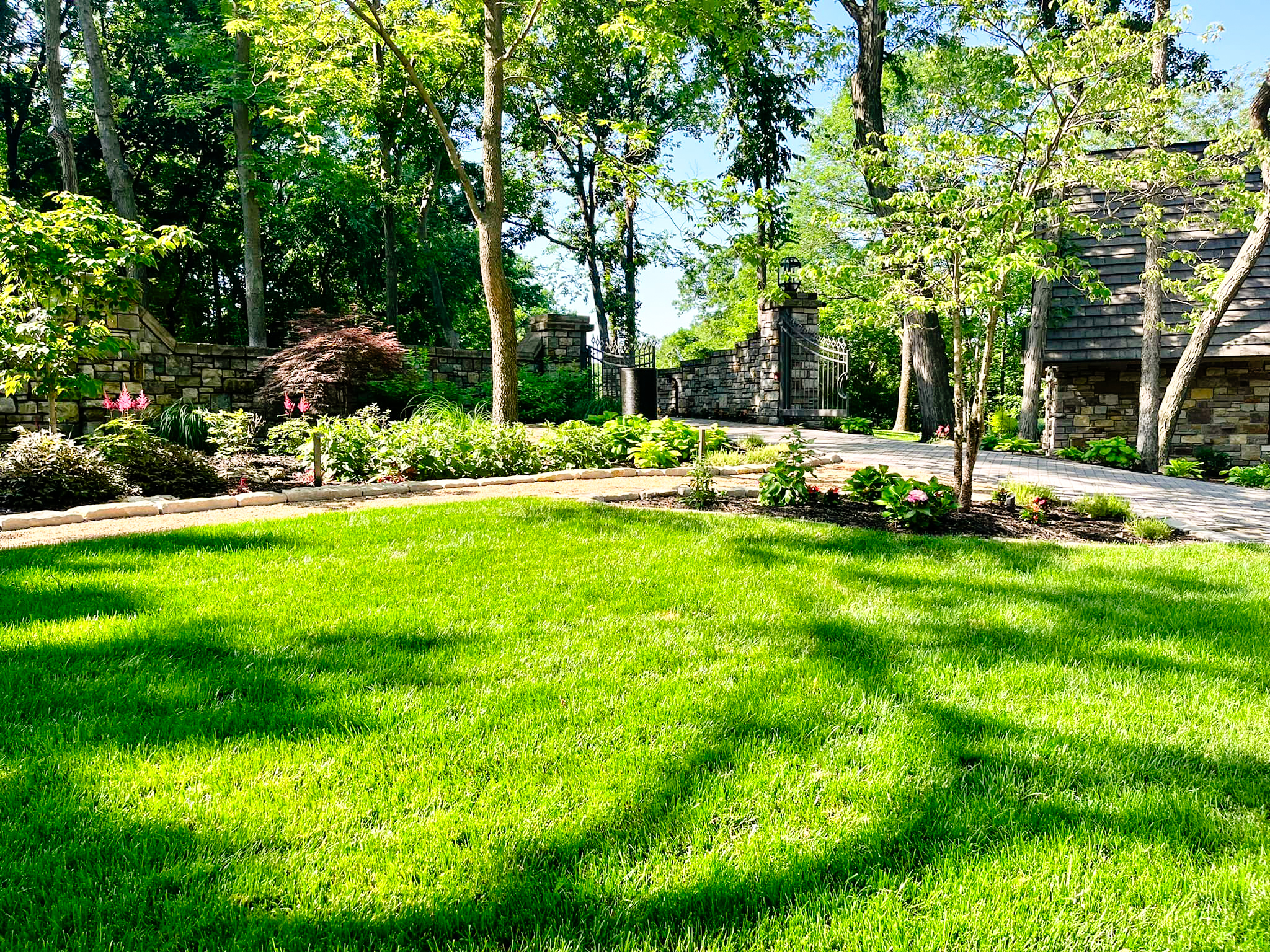 a healthy, green lawn in a home in Kansas City