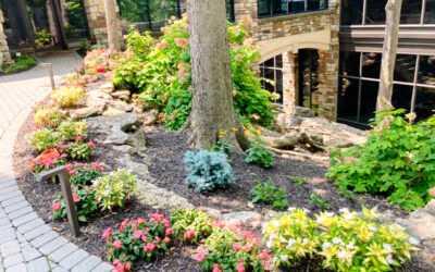 Landscaping Services Can Be A Great Holiday Gift 