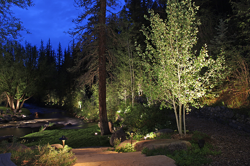  a path at night with the plants lit