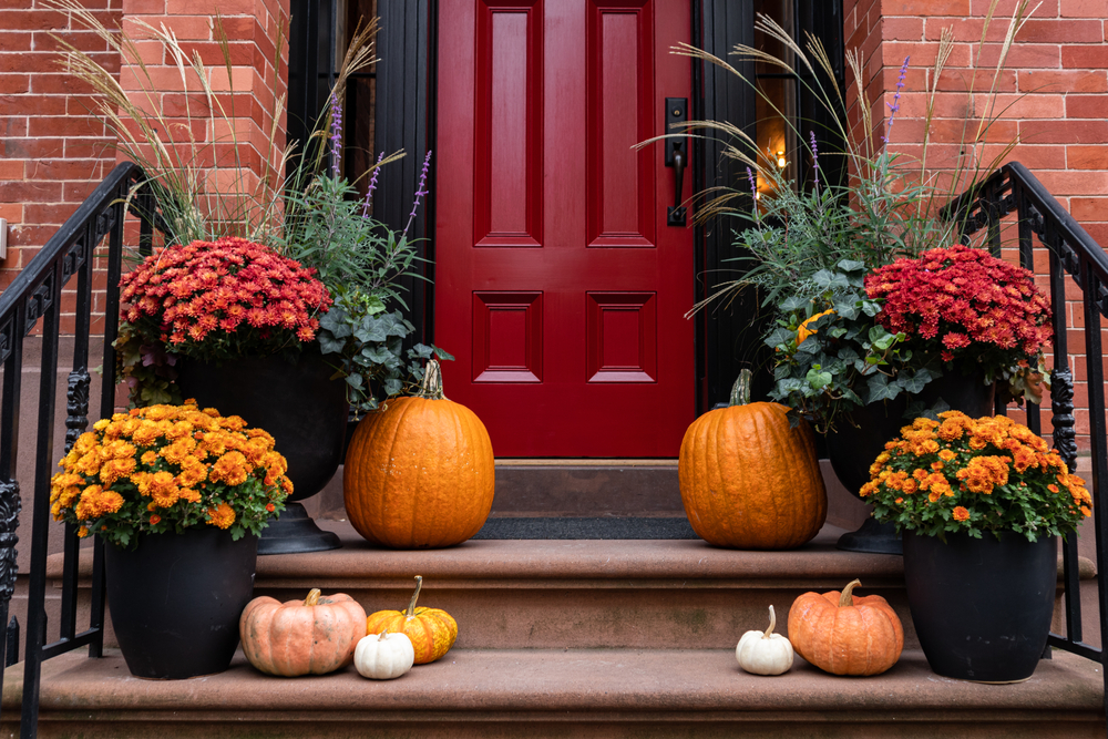 A set of porch steps with flower pots and pumpkins framing a door.