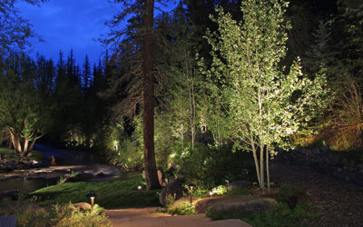 Lighting Your Landscape