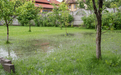 Storm Water Management