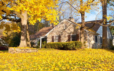 Fall Leaf Clean-Up