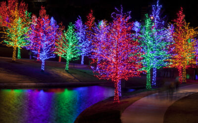 Outdoor Color-Changing Lights:  How to Set the Mood for Every Season