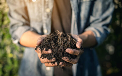 Benefits of Using Compost