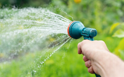 Watering Your Landscape