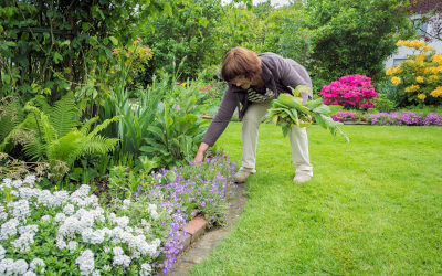 Weed Control In Landscape Beds