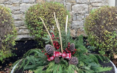 Winter Seasonal Planters