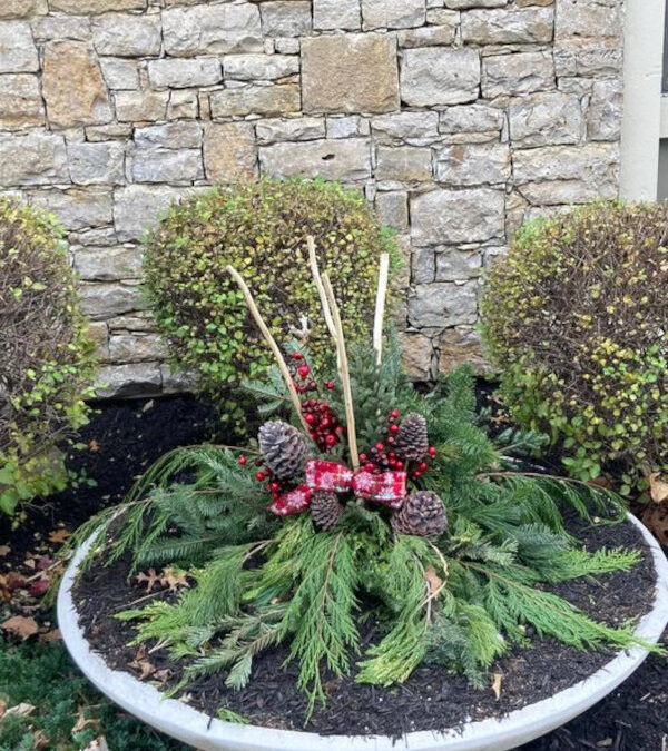 Winter Seasonal Planters