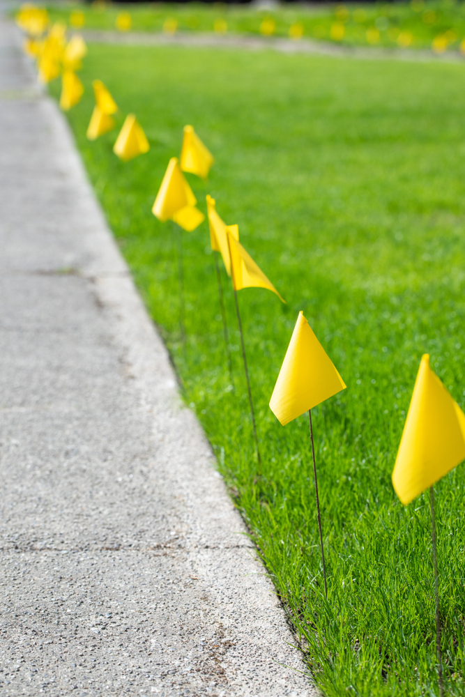 a row of small yellow flags on thin wires stuck in a green lawn