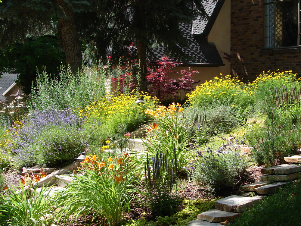 A flower garden with lots of different blooms in it.