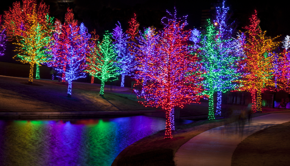 A small forest of trees with rainbows of lights