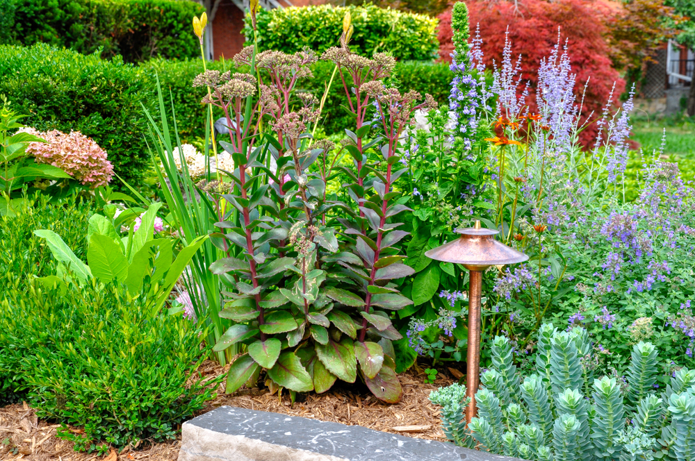 an outdoor light surrounded by plants