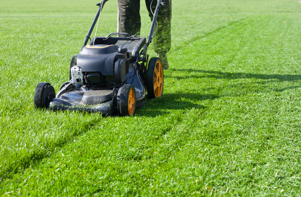 a person mowing a lush lawn