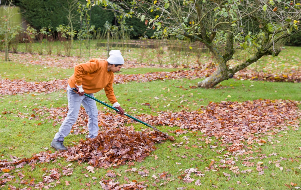 woman raking leaves on yard